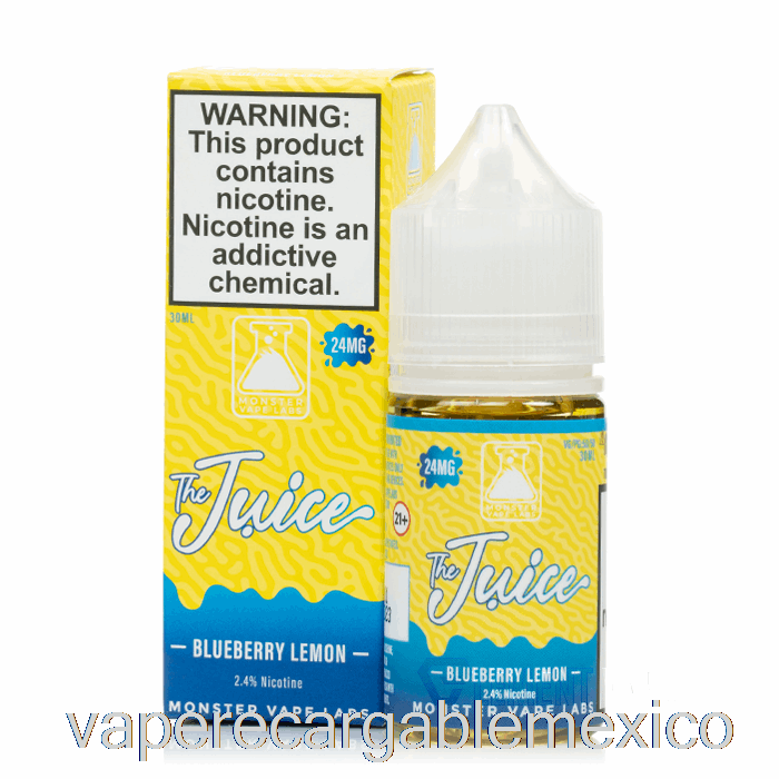 Vape Recargable Arándano Limón - El Jugo Sales - 30ml 24mg
